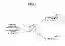 Fig. 02 - Information providing apparatus, information providing method, and network system