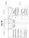 Fig. 46 - Content delivery framework with dynamic service network topologies