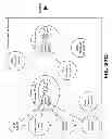 Fig. 122 - Layered request processing in a content delivery network (CDN)