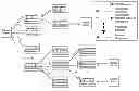 Fig. 01 - Configuring a content delivery network (CDN)
