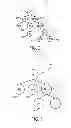 Fig. 03 - Efficient name management for named data networking in datacenter networks