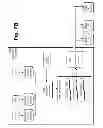 Fig. 49 - Devices and methods supporting content delivery with adaptation services with feedback from health service
