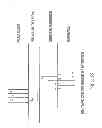Fig. 07 - Prioritizing data packets associated with applications running in a networked computing environment