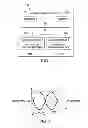 Fig. 02 - Systems and methods for differential pair in-pair skew determination and compensation