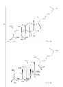 Fig. 03 - Draw-ahead feature for chemical structure drawing applications
