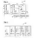 Fig. 03 - Career history exercise with stage card visualization