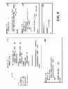 Fig. 05 - Identifying differences between source codes of different versions of a software when each source code is organized using incorporated files