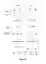 Fig. 10 - Dynamic device virtualization for use by guest user processes based on observed behaviors of native device drivers
