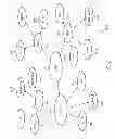 Fig. 08 - MULTI-DIMENSIONAL CHANNEL DIRECTORIES