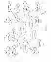 Fig. 08 - Multi-dimensional channel directories