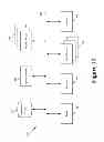 Fig. 13 - Advocate for facilitating verification for the online presence of an entity