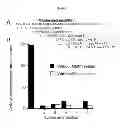 Fig. 08 - ROLE OF PROTEOGLYCANS IN DRUG DEPENDENCE