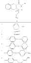 Fig. 100 - ROLE OF PROTEOGLYCANS IN DRUG DEPENDENCE