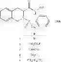 Fig. 103 - ROLE OF PROTEOGLYCANS IN DRUG DEPENDENCE