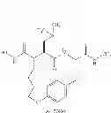 Fig. 20 - ROLE OF PROTEOGLYCANS IN DRUG DEPENDENCE
