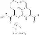 Fig. 22 - ROLE OF PROTEOGLYCANS IN DRUG DEPENDENCE