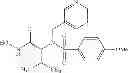 Fig. 24 - ROLE OF PROTEOGLYCANS IN DRUG DEPENDENCE