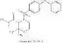 Fig. 25 - ROLE OF PROTEOGLYCANS IN DRUG DEPENDENCE