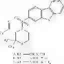 Fig. 27 - ROLE OF PROTEOGLYCANS IN DRUG DEPENDENCE