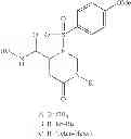 Fig. 53 - ROLE OF PROTEOGLYCANS IN DRUG DEPENDENCE