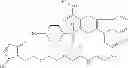 Fig. 57 - ROLE OF PROTEOGLYCANS IN DRUG DEPENDENCE
