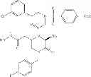 Fig. 58 - ROLE OF PROTEOGLYCANS IN DRUG DEPENDENCE