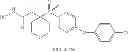 Fig. 70 - ROLE OF PROTEOGLYCANS IN DRUG DEPENDENCE
