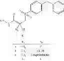 Fig. 80 - ROLE OF PROTEOGLYCANS IN DRUG DEPENDENCE