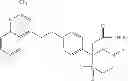 Fig. 83 - ROLE OF PROTEOGLYCANS IN DRUG DEPENDENCE