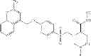 Fig. 85 - ROLE OF PROTEOGLYCANS IN DRUG DEPENDENCE