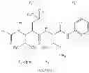 Fig. 95 - ROLE OF PROTEOGLYCANS IN DRUG DEPENDENCE
