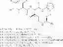 Fig. 96 - ROLE OF PROTEOGLYCANS IN DRUG DEPENDENCE