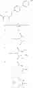 Fig. 98 - ROLE OF PROTEOGLYCANS IN DRUG DEPENDENCE
