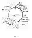 Fig. 02 - Trichome-specific transcription factor modulating terpene biosynthesis