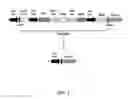 Fig. 03 - METHODS AND COMPOSITIONS FOR PRODUCING AND SELECTING TRANSGENIC PLANTS