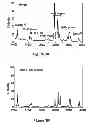 Fig. 04 - ENHANCED ZEIN REDUCTION IN TRANSGENIC CORN SEED