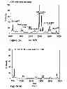 Fig. 07 - ENHANCED ZEIN REDUCTION IN TRANSGENIC CORN SEED