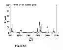 Fig. 08 - ENHANCED ZEIN REDUCTION IN TRANSGENIC CORN SEED