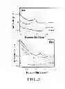 Fig. 13 - Electrochemically-grown nanowires and uses thereof