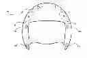 Fig. 01 - Helmet with multiple protective zones