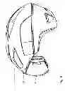Fig. 05 - Unit composed of helmet and protective eye mask