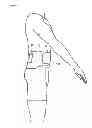 Fig. 06 - Support Waistband With Bodily Protective Elements