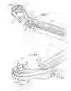 Fig. 05 - DRIVE MEMBER, DEVICE FOR HOLDING A PIPE, IN PARTICULAR FOR WINDSCREEN WASHER LIQUID, AND CORRESPONDING WIPER SYSTEM