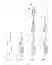 Fig. 02 - METHOD FOR PRODUCING A TOOTHBRUSH, AND TOOTHBRUSH