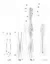 Fig. 03 - METHOD FOR PRODUCING A TOOTHBRUSH, AND TOOTHBRUSH