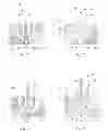 Fig. 08 - METHOD FOR PRODUCING A TOOTHBRUSH, AND TOOTHBRUSH