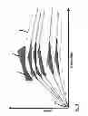 Fig. 04 - Method of manufacturing mirror shells of a nested shells grazing incidence mirror