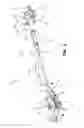 Fig. 03 - Accessory mounting apparatus for a vehicle
