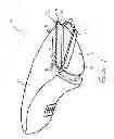 Fig. 02 - Hair trimmer with cutting guide