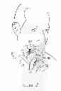 Fig. 03 - Hair trimmer with cutting guide